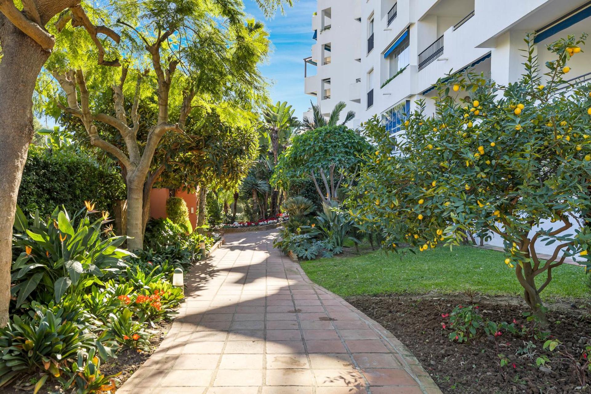 Charming And Spacious Apartment In Medina Garden - Puerto Banus Marbella Dış mekan fotoğraf